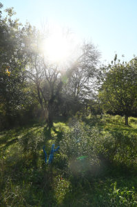(Bild: sciaredo)