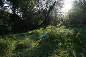 (Bild: sciaredo)