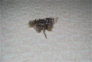 (Bild: ursprung)
